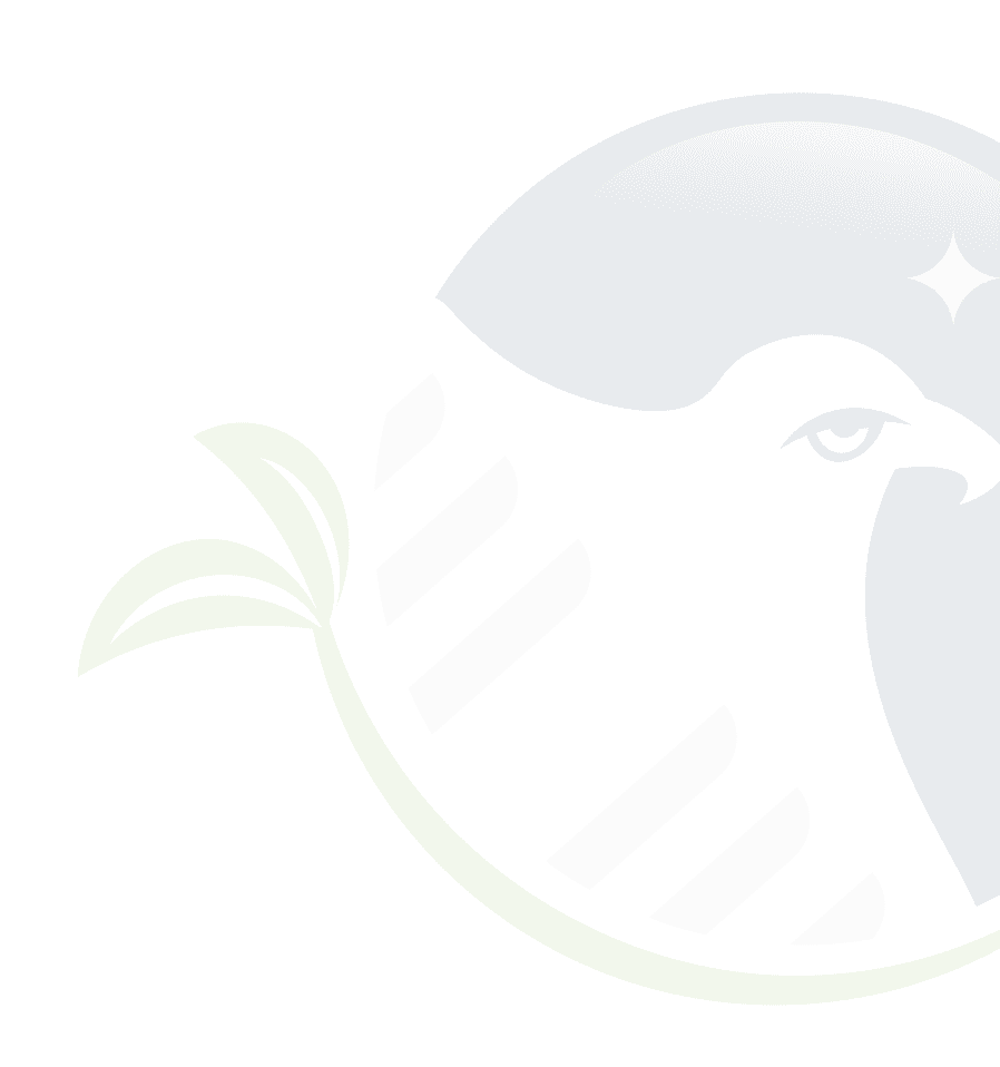 Gray Eagle Transparent Logo